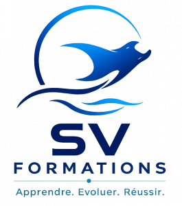 SV FORMATIONS