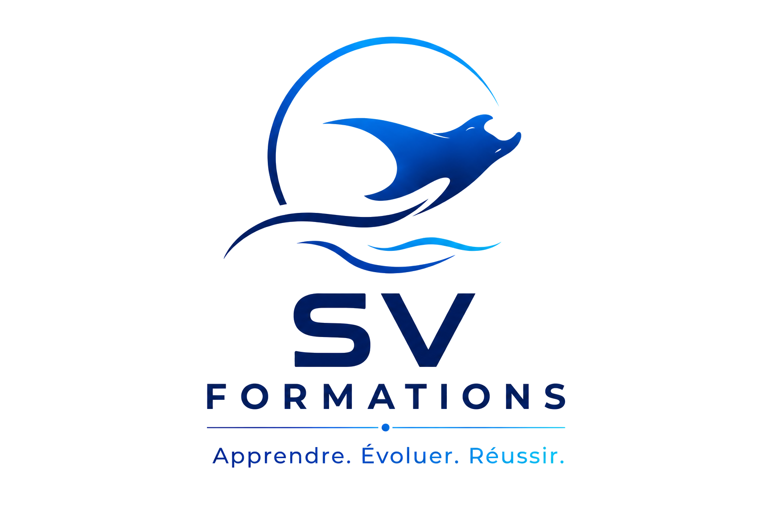 SV FORMATIONS